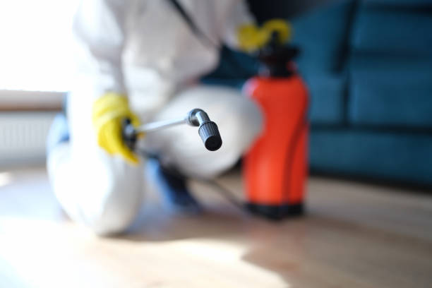 Mold Remediation for Rental Properties in Austin, TX